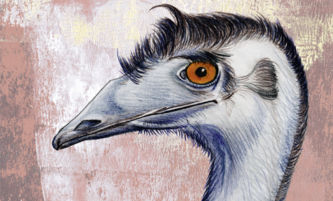Emu